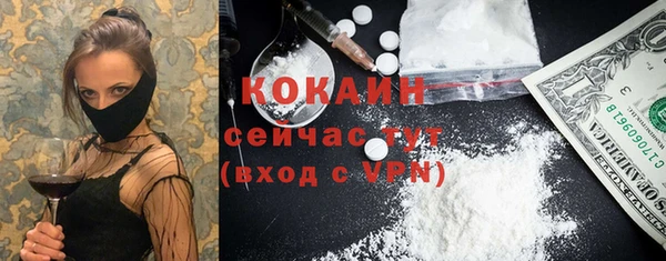 сатива Аркадак