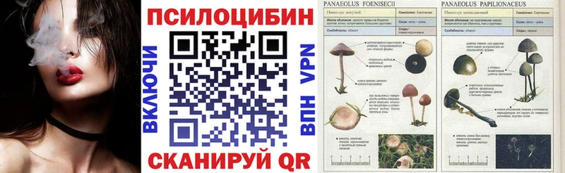 Псилоцибиновые грибы прущие грибы Полесск